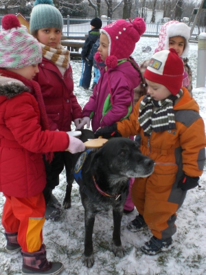 Ramses im Schnee (6)  